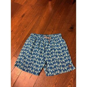 Tom & Teddy sea turtle blue swim trunks L